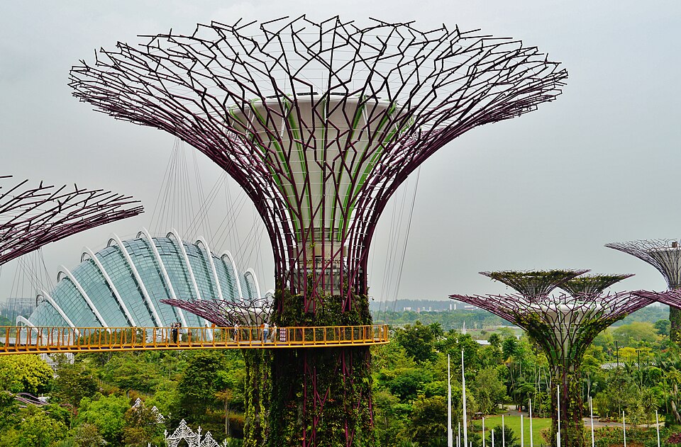 Supertree Grove